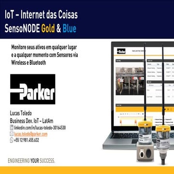 PIF2019 - A16 - Lucas Toledo - Parker