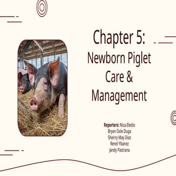 *Proper_Handling_of_Hogs_and_The_Important_Nutrient_Needed