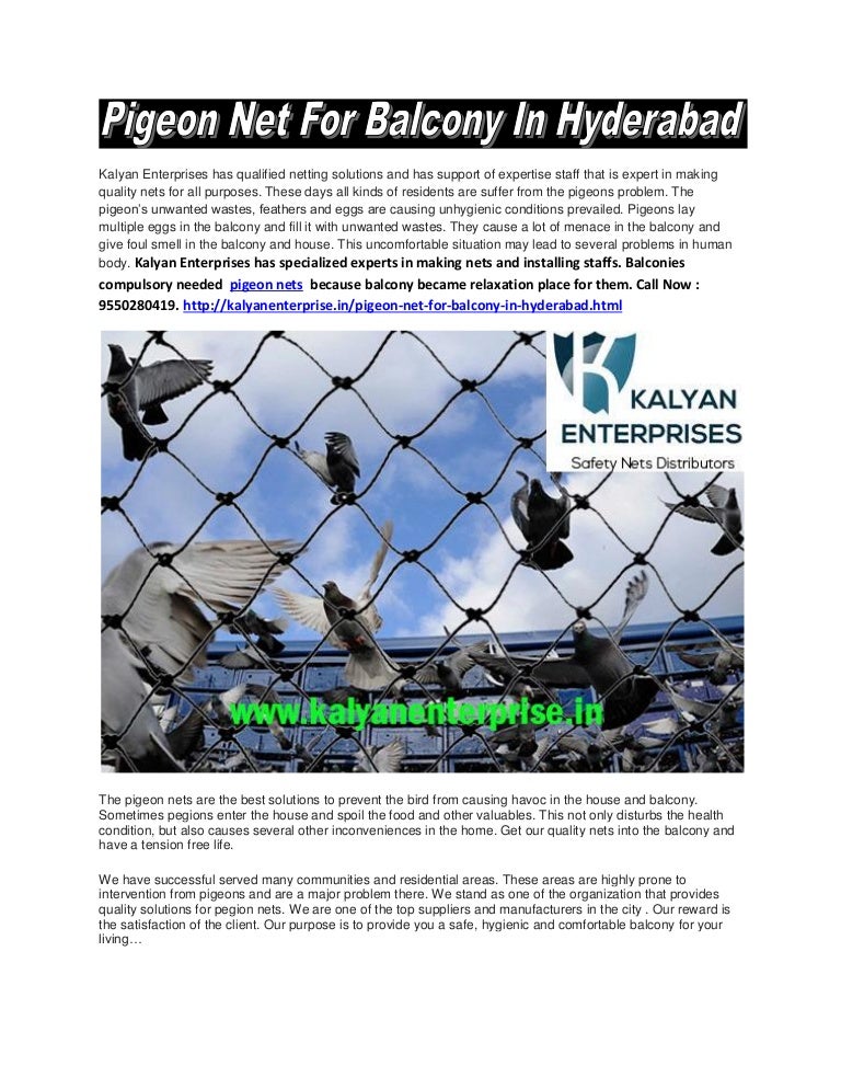 Pigeon net for balcony in hyderabad Kalyan Enterprise