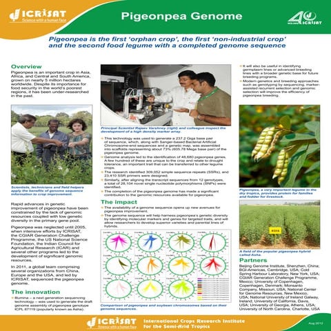Pigeonpea genome