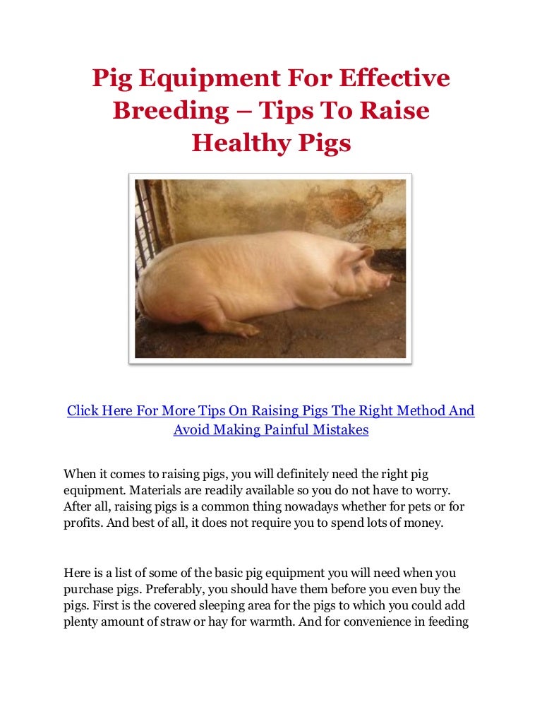 Pig Equipment For Effective Breeding Tips To Raise Healthy Pigs