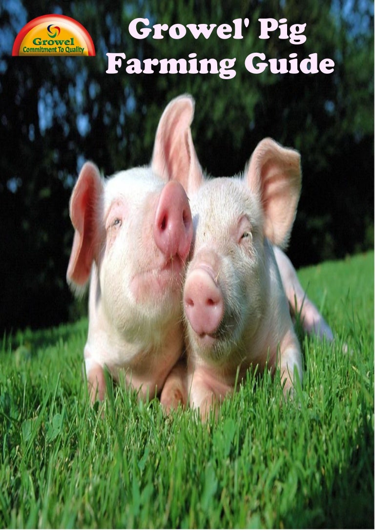 Pig Farming Guide
