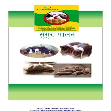 सुँगुर पालन  पुस्तिका (Pig Farming Guide in Nepali)