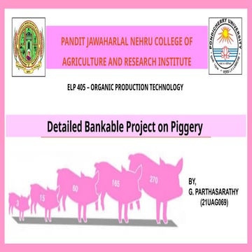 Piggery detailed bankable project piggery final ps69.pptx