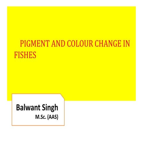 Pigment and colour change in fishes
