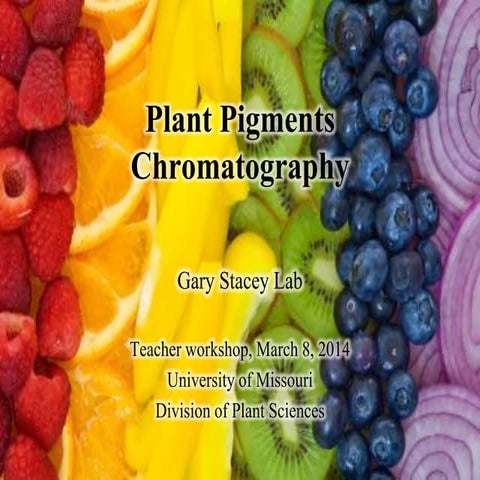 Pigmentchromatography 