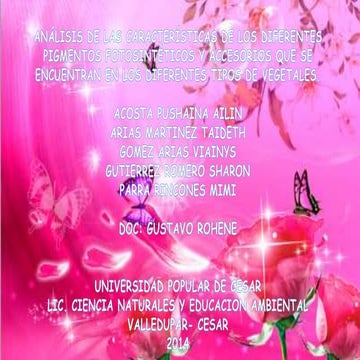 Laboratorio Pigmentos vegetales