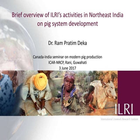 Brief overview of ILRI’s activities in Northeast India on pig system development