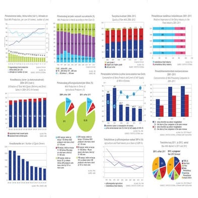 Piimaliidu voldik 2013 trykk