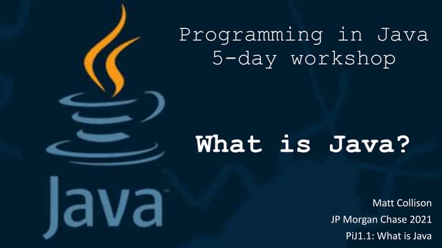 Pi j1.1 what-is-java