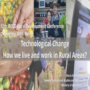 Technological change in rural areas | PDF