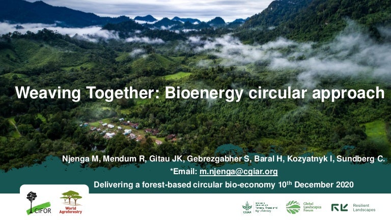 thumbnail of  Weaving Together: Bioenergy circular approach