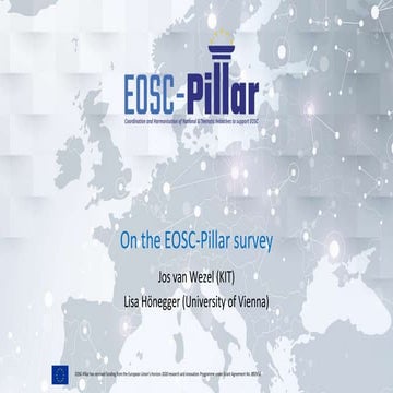 On the EOSC-Pillar Survey for Germany