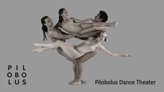 Pilobolus Dance Theater
