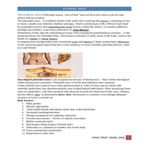 Pilonidal Disease | PPTX