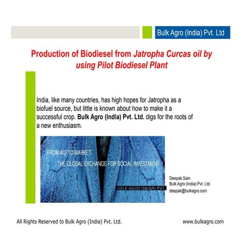 Production of Biodiesel from Jatropha Curcas Oil by using Pilot Biodiesel Pla...