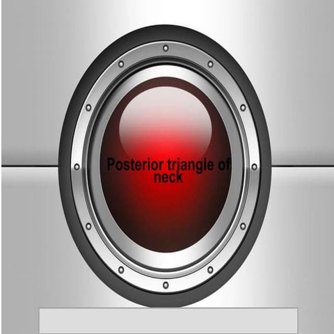 posterior triangle of neck 