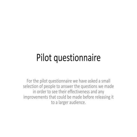 Pilot questionnaire