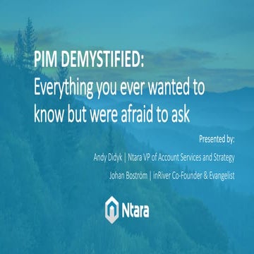 Product Information Management: Everything you wanted to know but were afraid...