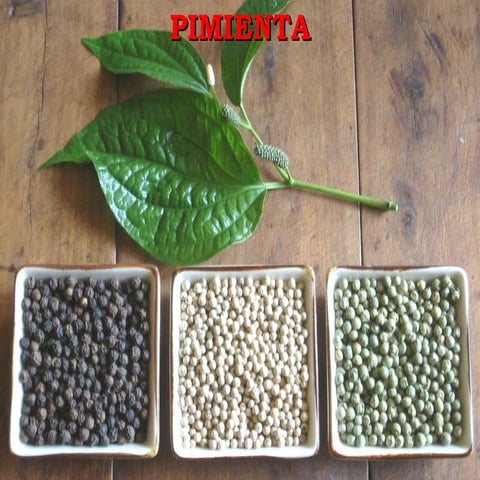 Pimienta