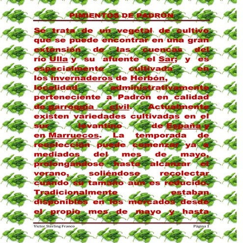 Pimientos de padròn vsf