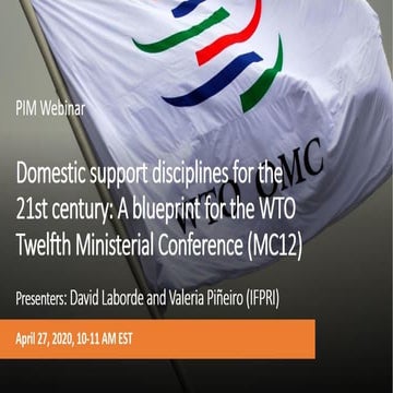 Domestic support disciplines for the 21st century: A blueprint for the WTO Tw...