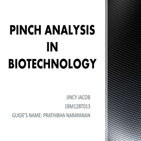 Pinch analysis in biotechnology   