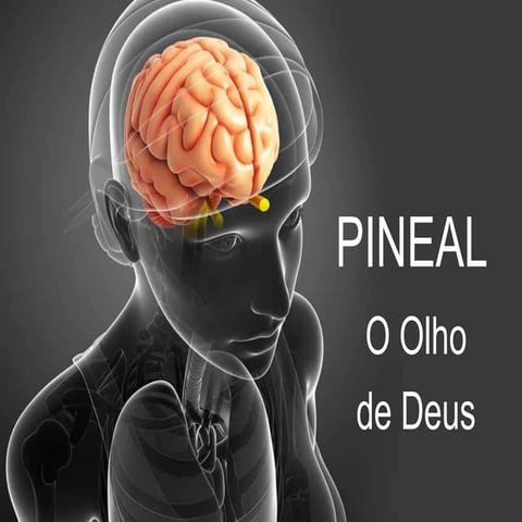 Pineal - anatomia e mediunidade.pptx
