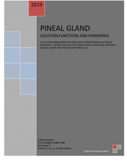Pineal gland the third eye of man. 