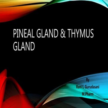 Pineal gland and thymus gland