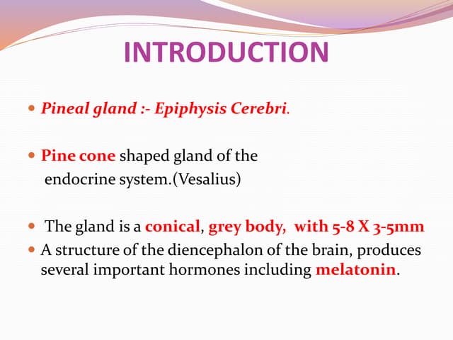 Pineal region masses - radiology | PPTX