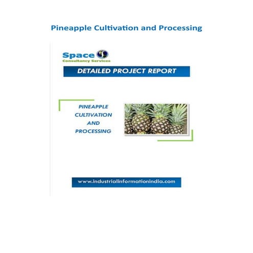 Pineapple Cultivation and Processing Project Report
