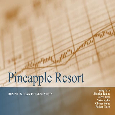 Pineapple Resort Business Plan