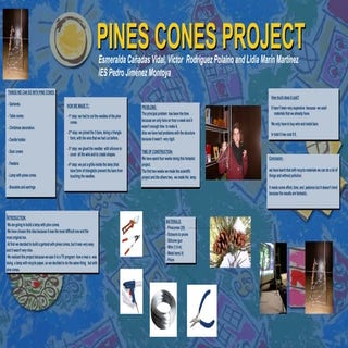 Pine cones poster.