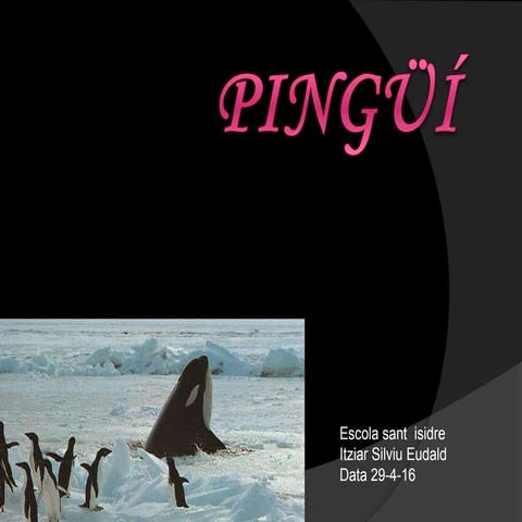 Pingüí