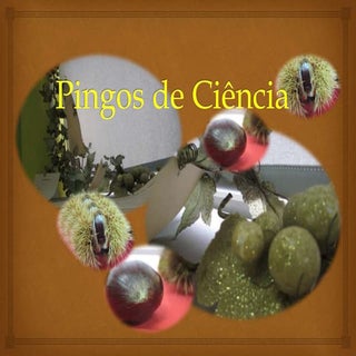 Pingos de ciência