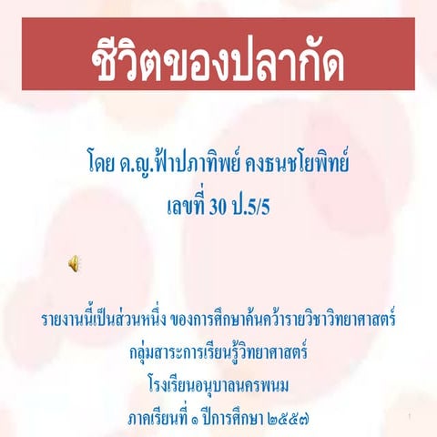 ชีวิตของปลากัด