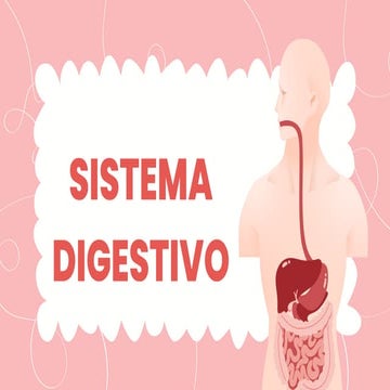 Pink Illustrative The Human Body Presentation .pdf