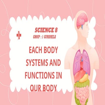 Pink Illustrative The Human Body Presentation .pptx