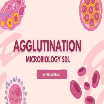 Agglutination test ,antigen antibody reaction | PPTX