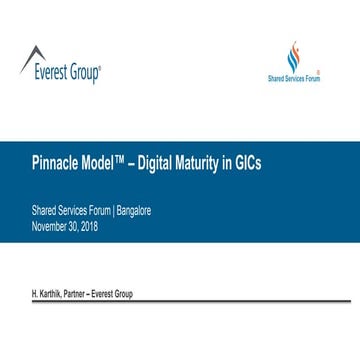Pinnacle Model - Digital Maturity in GICs