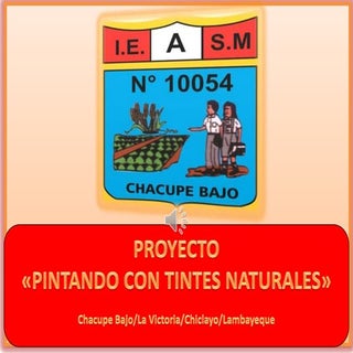 Pintado con Tintes Naturales