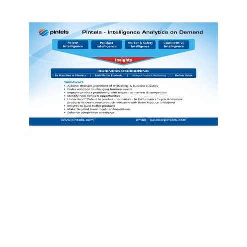 Pintels - Competitive Intelligence Analytics on Demand - Infographic | PDF