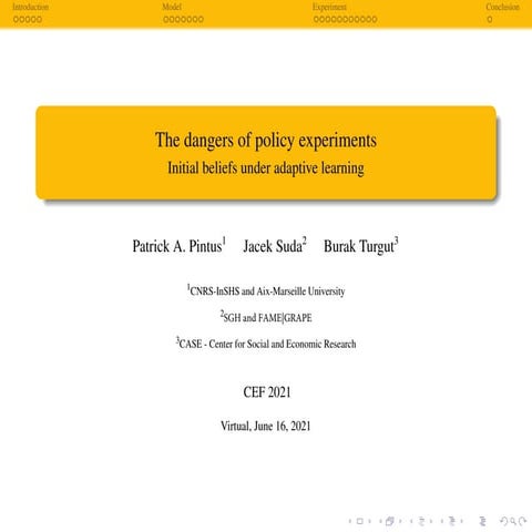 The dangers of policy experiments Initial beliefs under adaptive learning