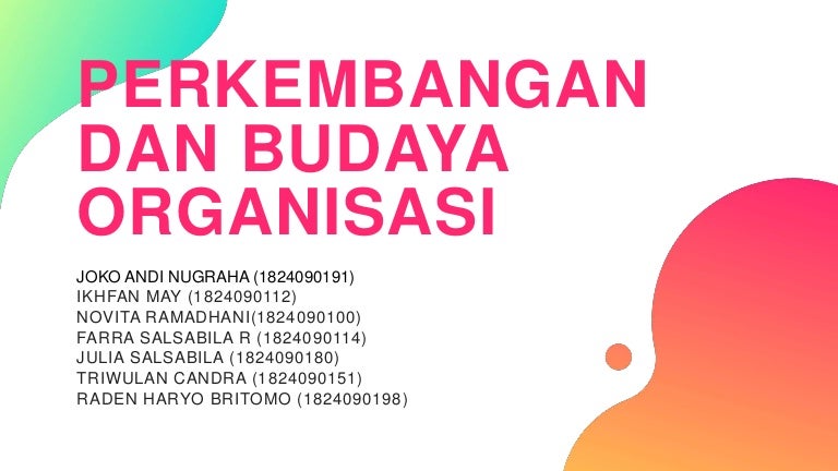 Perkembangan Dan Budaya Organisasi