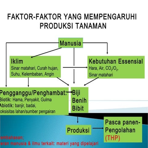 penelitian pembangunan ilmu