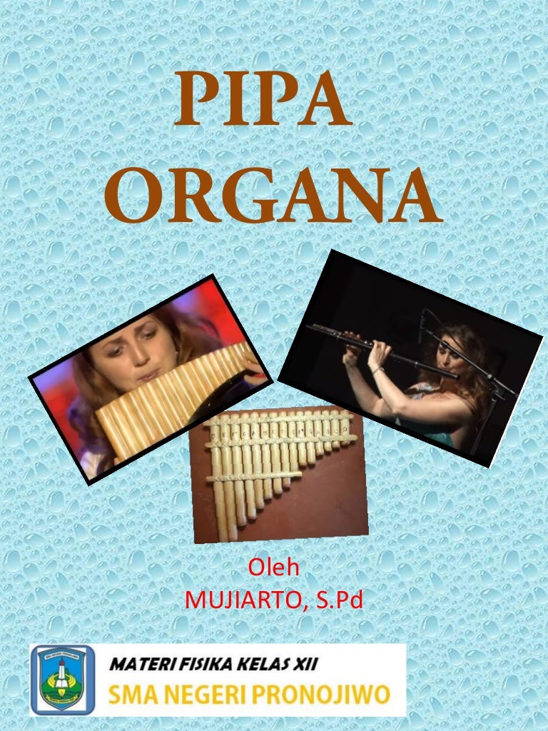 Pipa Organa