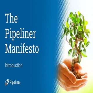 Pipeliner Manifesto – Introduction