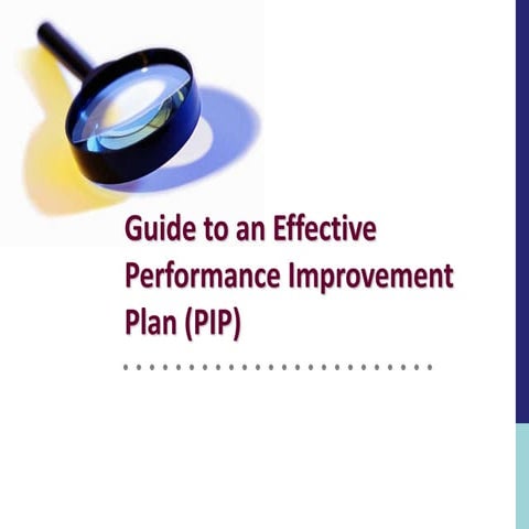 PIP Guide 2008_7April08.ppt