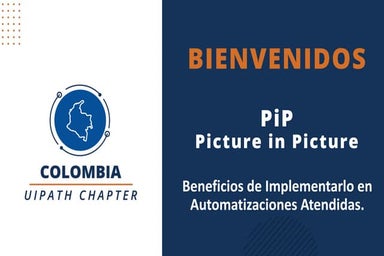 PiP_PictureInPicture_Chapter6_Q3_082423_PDF.pdf